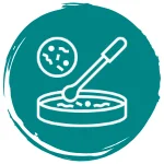 Microbial Contamination